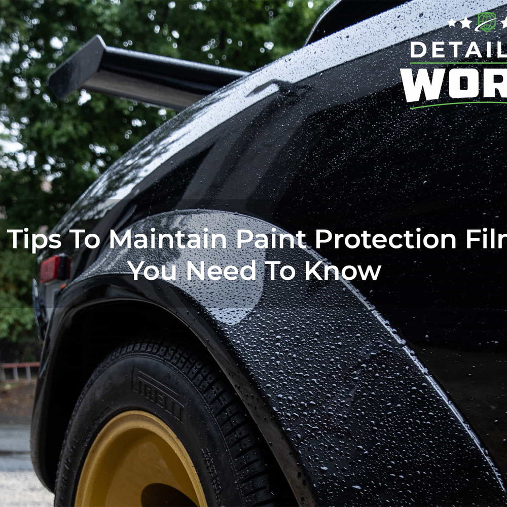 5 Tips To Maintain Paint Protection Film You Need To Know