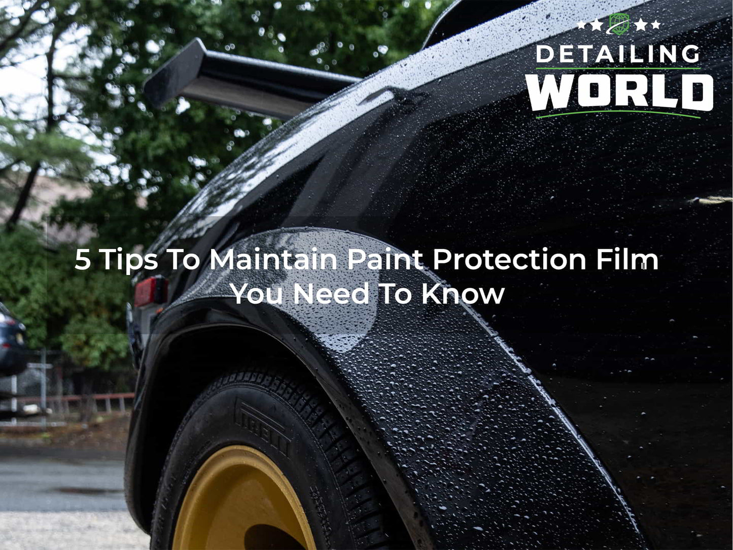 5 Tips To Maintain Paint Protection Film You Need To Know