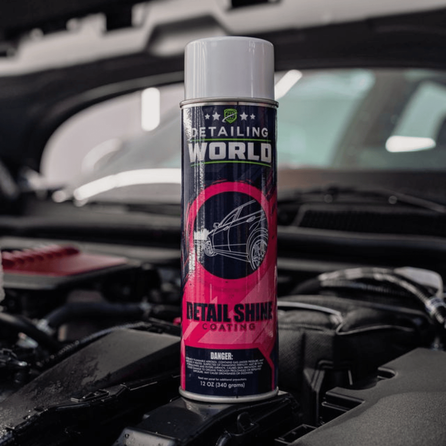 Detailing World Detail Shine - Detailing World NJ0098767545